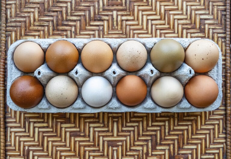 an overhead shot of a dozen multi-colored eggs in a carton on a thatched whicker background